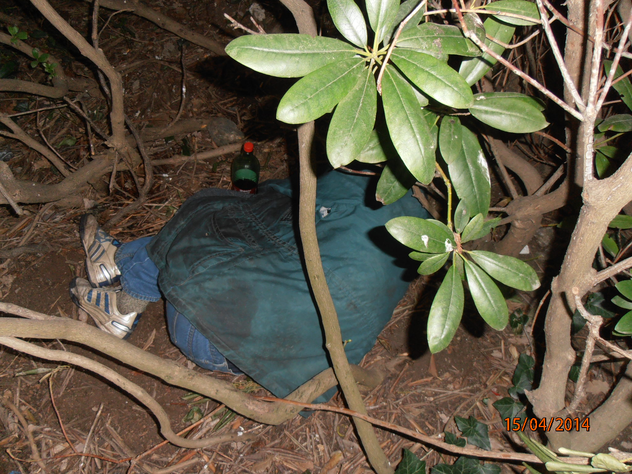 Muž bez domova usnul v rhododendronech
