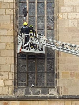 Záchrana uvízlého holuba za oknem katedrály