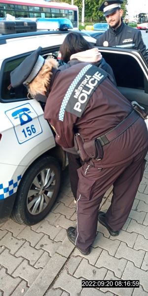 Strážníci předali policistům zájmové osoby