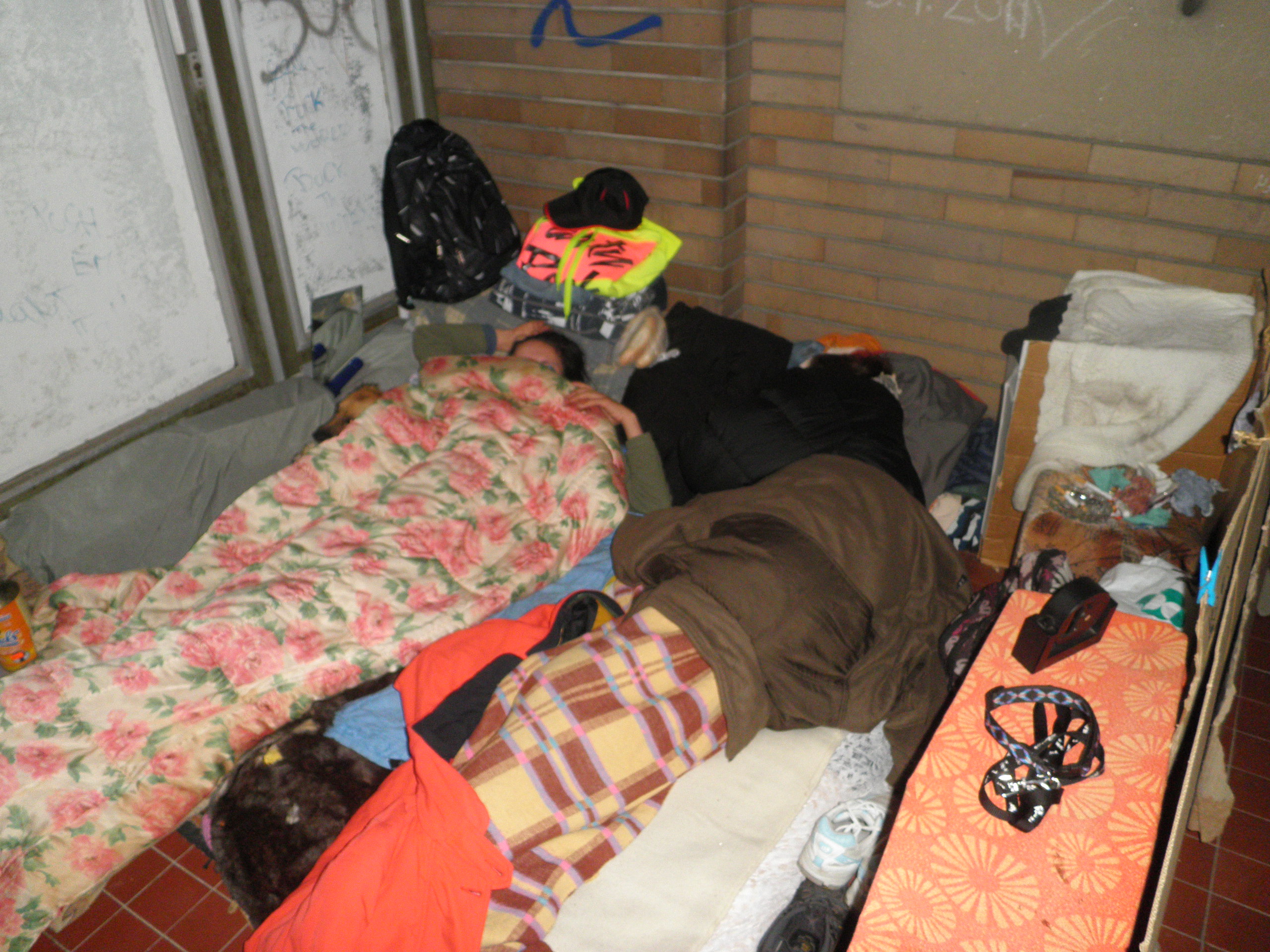 Bezdomovkyně na Slovanech