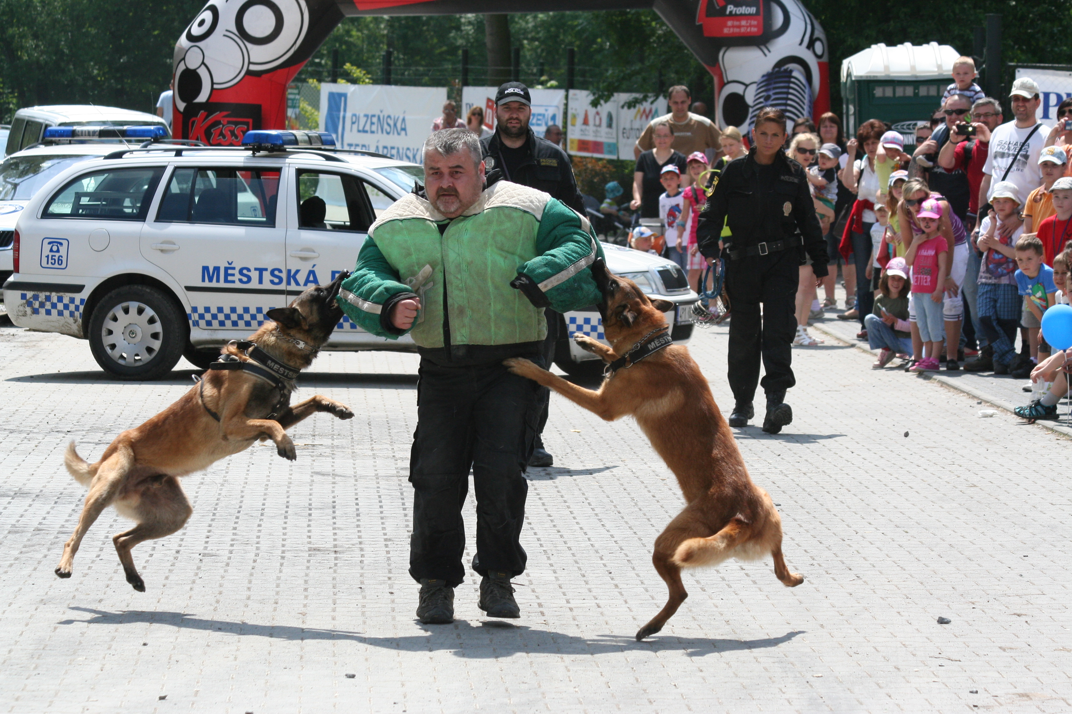 Zadržení pachatele dvěma psy