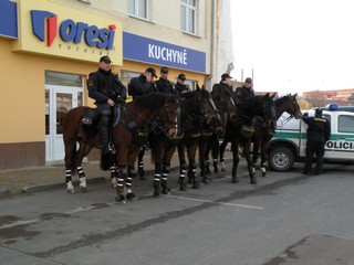 policie na koni