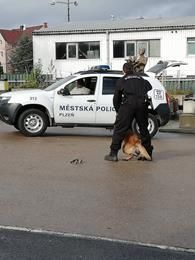 Já, hrdina- Den s Městskou policií Plzeň